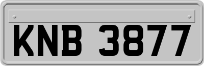 KNB3877