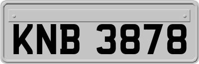 KNB3878