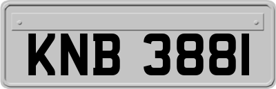 KNB3881