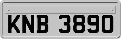 KNB3890