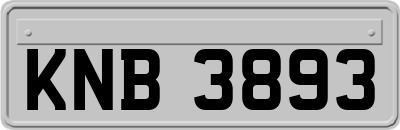 KNB3893