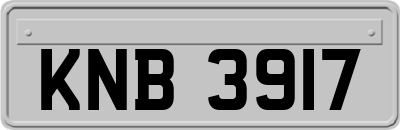 KNB3917