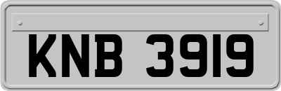 KNB3919