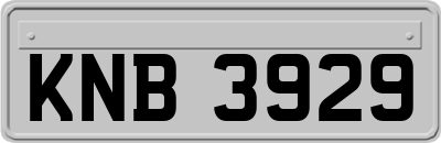 KNB3929