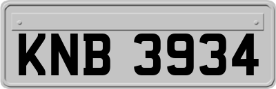 KNB3934