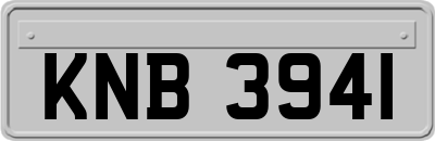 KNB3941