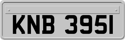 KNB3951