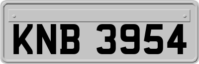 KNB3954