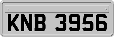 KNB3956