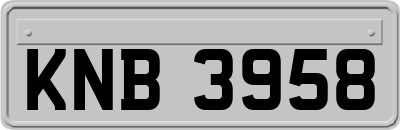 KNB3958