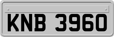 KNB3960