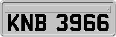 KNB3966