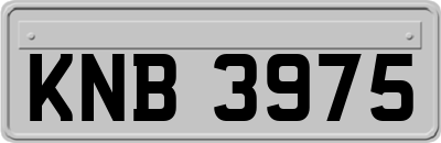 KNB3975