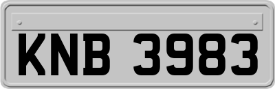 KNB3983