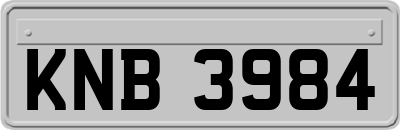 KNB3984