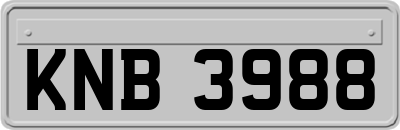 KNB3988