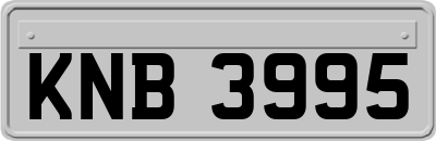 KNB3995