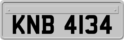 KNB4134