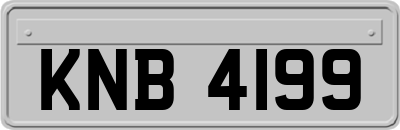 KNB4199