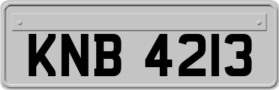 KNB4213