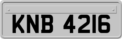 KNB4216