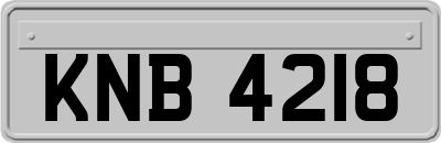 KNB4218