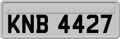 KNB4427