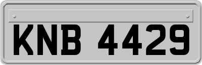 KNB4429