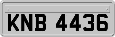 KNB4436