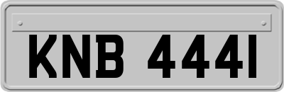 KNB4441