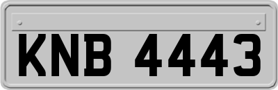 KNB4443