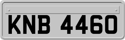 KNB4460