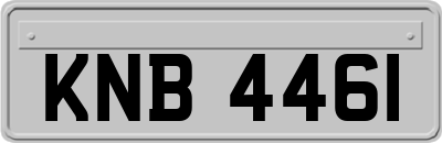 KNB4461