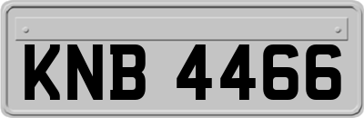 KNB4466