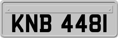 KNB4481