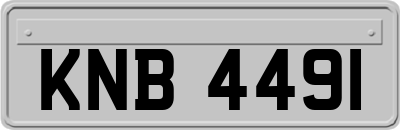 KNB4491