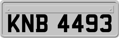 KNB4493