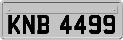 KNB4499