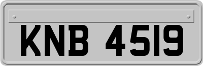 KNB4519