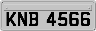 KNB4566