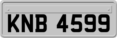 KNB4599