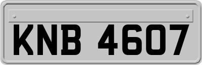 KNB4607