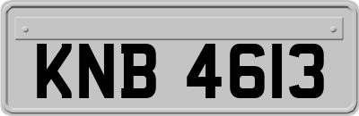 KNB4613