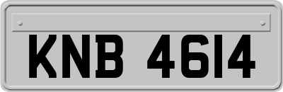 KNB4614