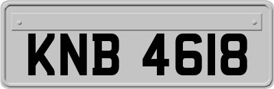 KNB4618