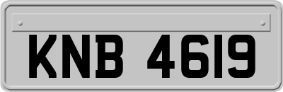 KNB4619