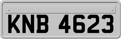 KNB4623