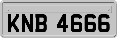 KNB4666