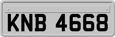 KNB4668