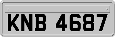 KNB4687